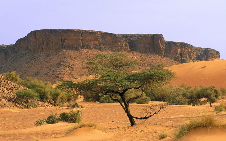 Mauritania