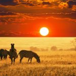 safe countries to visit in africa