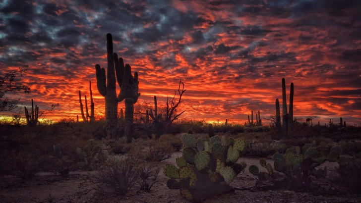 Tucson, Estados Unidos