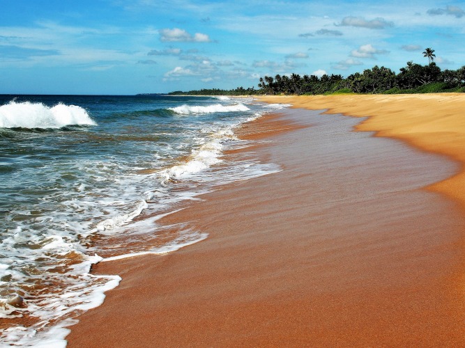 Beach in Sri Lanka