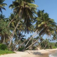 Sri Lanka Beach