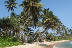 Sri Lanka Beach