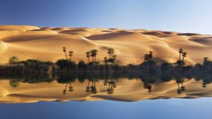 6995933-desert-oasis-libya
