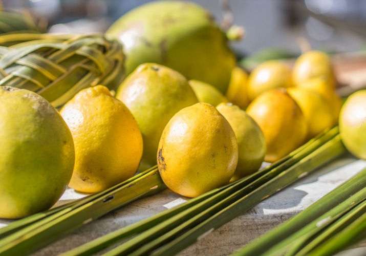 Hawaiian Fruits