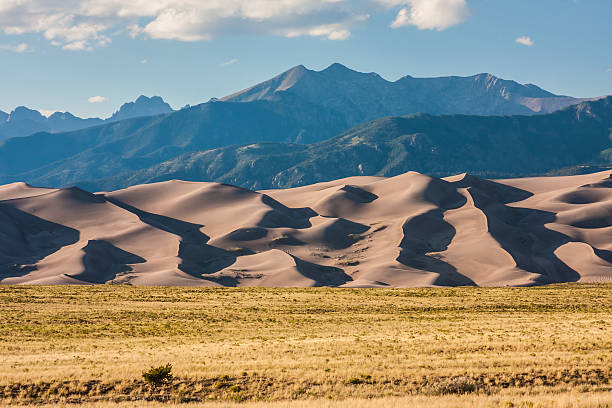 Alamosa