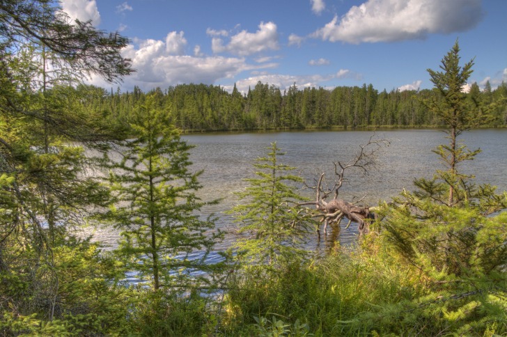 Bemidji, Estados Unidos