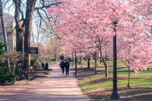 Chapel Hill