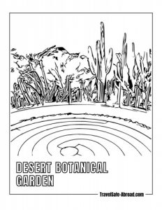 Desert Botanical Garden - This garden features a wide variety of desert plants, including cacti, succulents, and wildflowers. Visitors can explore the exhibits, attend special events, and learn about the unique ecology of the Sonoran Desert.