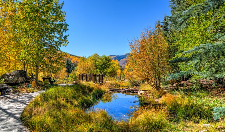 Autumn river landscape