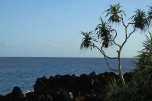 Fomboni View from the seashore