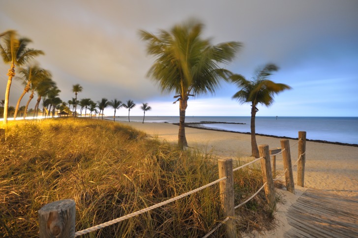 Windy palm beach