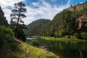 Green River