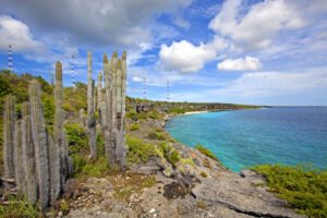 Hato Bonaire coastline panoramic view