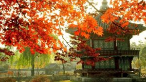 Korea-Wallpaper-HD-wpc5006798