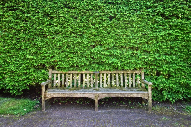 A bench in a park