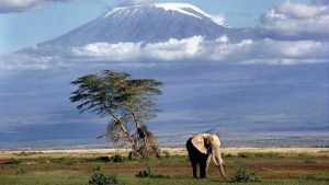 Mount-Kilimanjaro-13