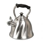 Mr. Coffee Alderton Stainless Steel Camping Tea Kettle