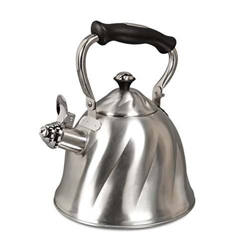 Top choice number 2: Mr. Coffee Alderton Stainless Steel Camping Tea Kettle