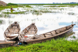N'Djamena Traditional wooden canoes on the riverbank chari in Chad