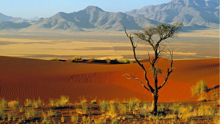 is namibia safe to travel now