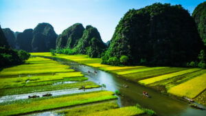Ninh Binh Rice field and river, NinhBinh, vietnam landscapes