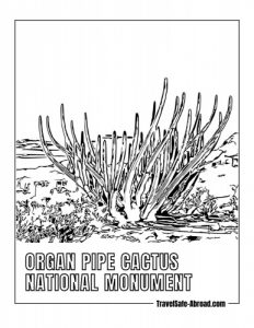 Organ Pipe Cactus National Monument - This park is home to the rare and unusual organ pipe cactus, as well as a wide variety of other desert plants and animals. Visitors can hike, bike, or take a scenic drive through the park to explore the unique landscape.