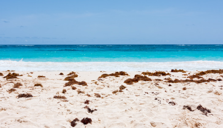 Paget, Bermuda