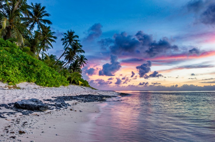Morning sky at palmy shore