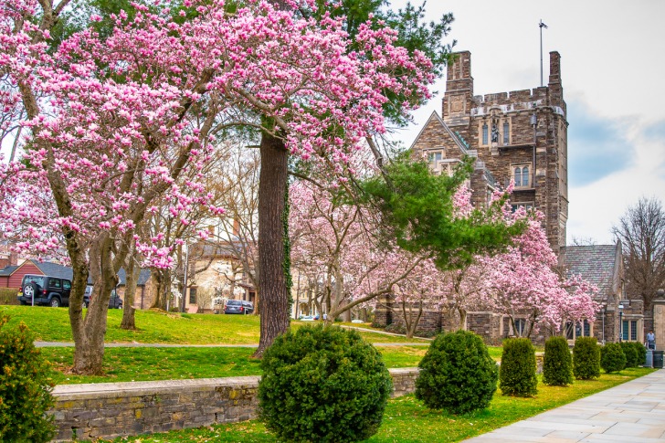 Princeton, Estados Unidos