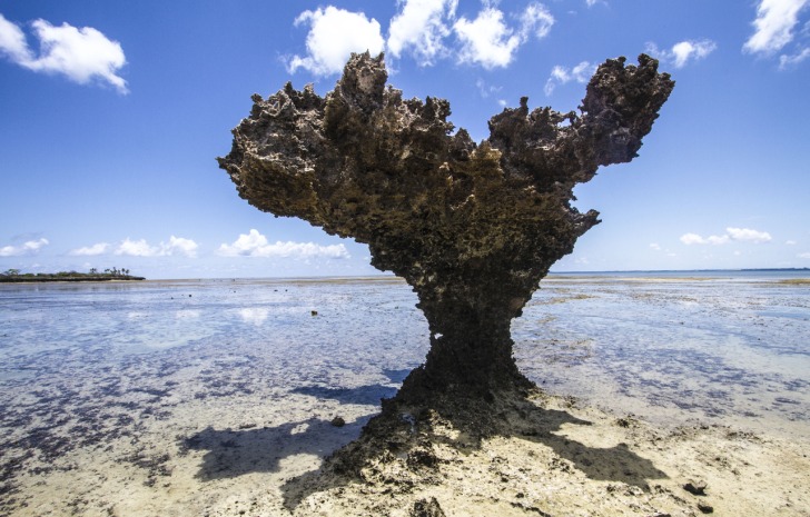 Quirimbas Archipelago, Mozambique