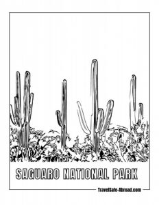 Saguaro National Park - Saguaro cactus are the symbol of the American Southwest, and this park is home to some of the largest and most impressive specimens. Visitors can hike, bike, or take a scenic drive through the park.