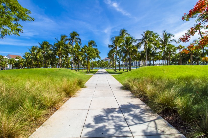 Paved trail leading to palmy beach