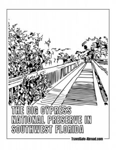 The Big Cypress National Preserve in Southwest Florida