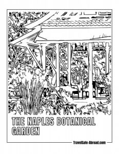 The Naples Botanical Garden