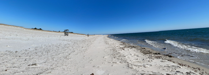 Seagull Beach