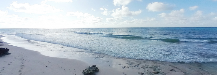 Silver Sands Beach