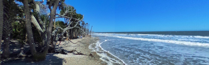 Driftwood Beach