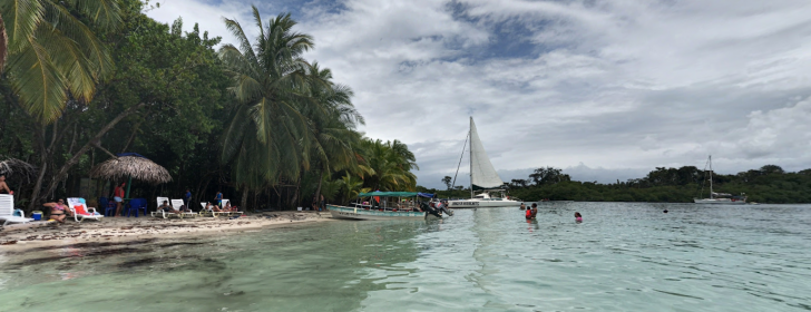 Starfish Beach