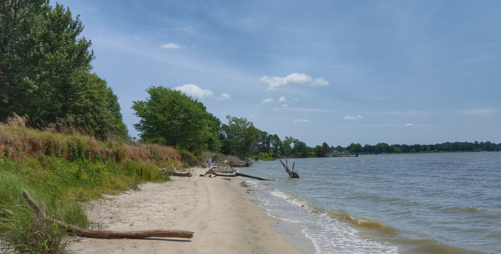 Belle Isle Beach 