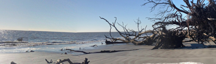 Hunting Island State Park