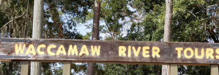 Waccamaw River Nature and Wildlife Tour