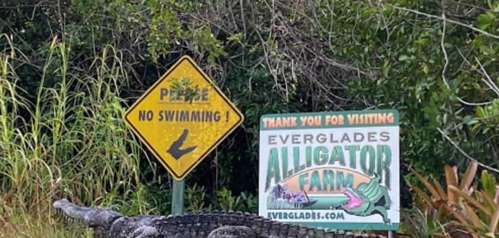 Everglade Alligator Farm