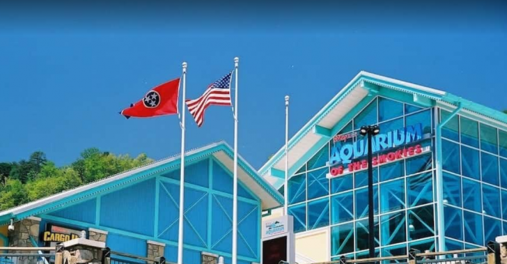 Ripley's Aquarium