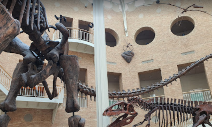 Fernbank Museum of Natural History