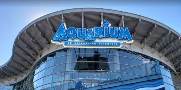 Downtown Aquarium