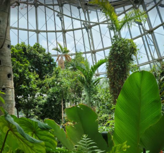 Cockrell Butterfly Center