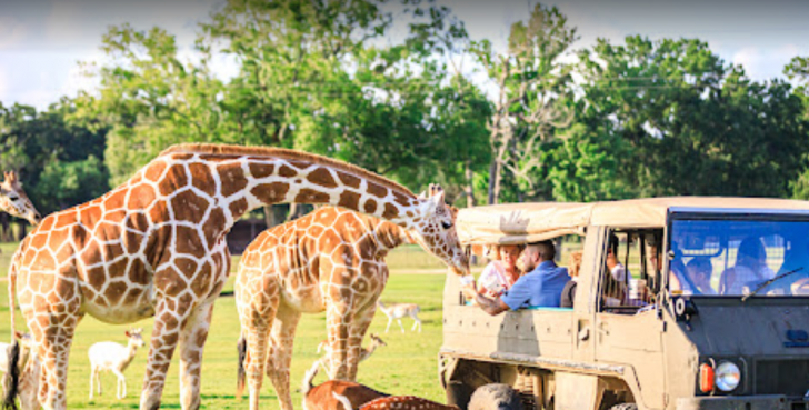 Global Wildlife Center