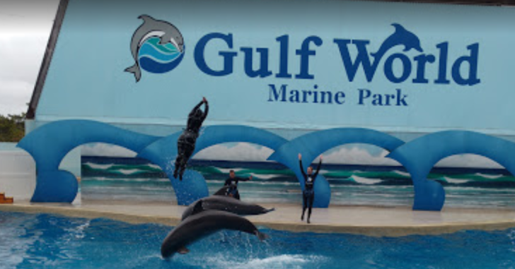 Gulf World Marine Park