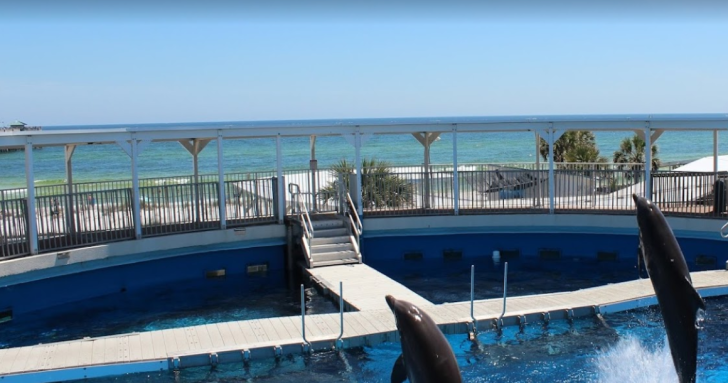 Gulfarium Marine Adventure Park