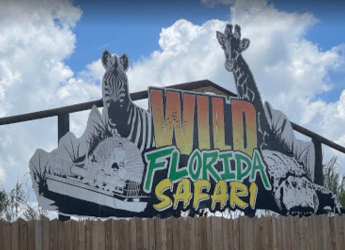 Wild Florida Drive-thru Safari Park